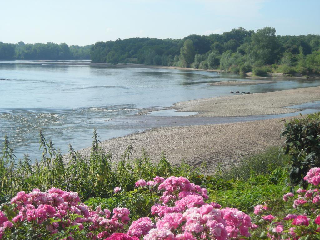 Hotel De La Loire Saint-Satur Zewnętrze zdjęcie