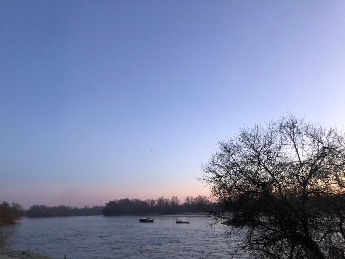 Hotel De La Loire Saint-Satur Zewnętrze zdjęcie